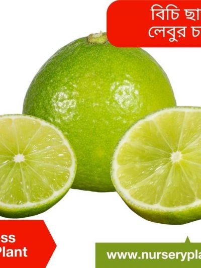 লেবু
