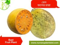 বেল