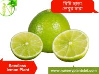 লেবু