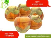 তাল