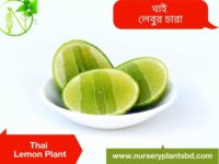 লেবু