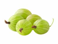 আমলকি