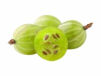 আমলকি